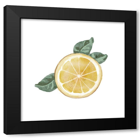 Citrus Limon V Black Modern Wood Framed Art Print with Double Matting by Bannarot