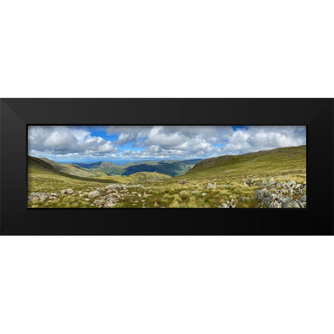 Greenscape Black Modern Wood Framed Art Print by Bay, Noah