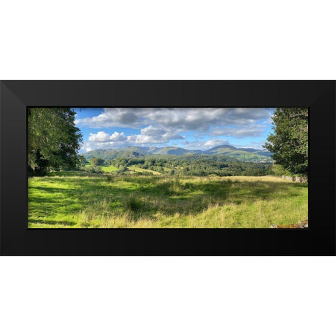 Fresh  Perspective Black Modern Wood Framed Art Print by Bay, Noah