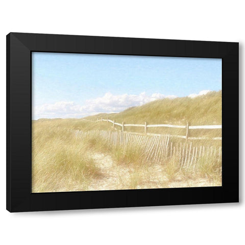 Seagrass  Dunes Black Modern Wood Framed Art Print with Double Matting by Grafitee Studios