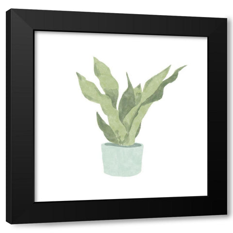 Snake  Plant II Black Modern Wood Framed Art Print with Double Matting by Bannarot