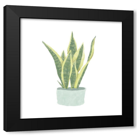 Snake  Plant III Black Modern Wood Framed Art Print with Double Matting by Bannarot