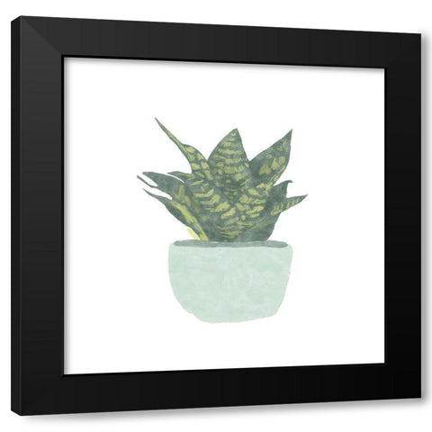 Snake  Plant IV Black Modern Wood Framed Art Print by Bannarot