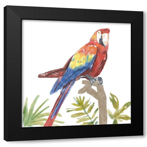 Tropical  Parrot Black Modern Wood Framed Art Print by Bannarot