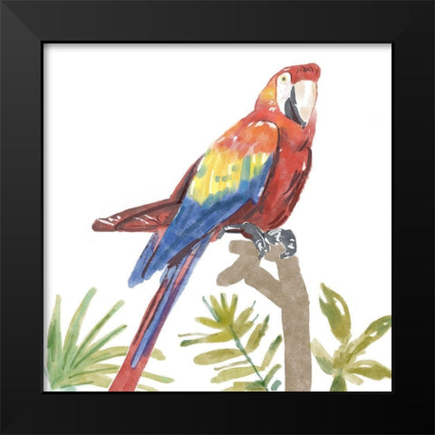 Tropical  Parrot Black Modern Wood Framed Art Print by Bannarot