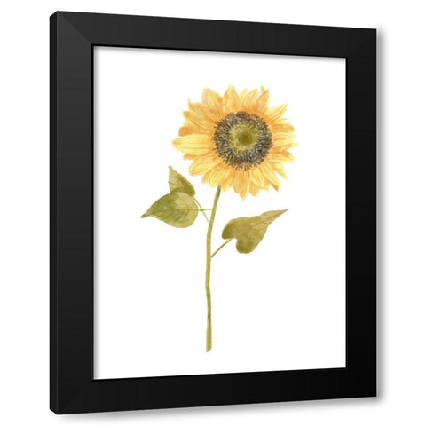 Single  Sunflower portrait I Black Modern Wood Framed Art Print with Double Matting by Bannarot