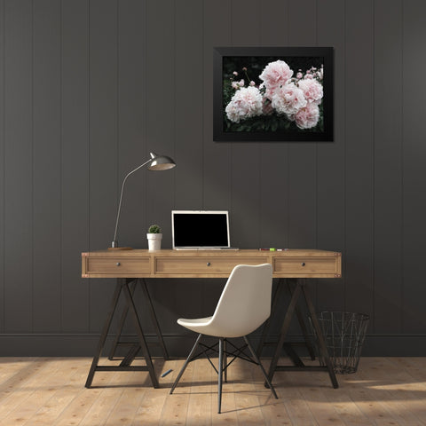 Peony  Poetry I Black Modern Wood Framed Art Print by Cusson, Marie Elaine