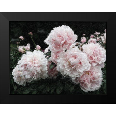 Peony  Poetry I Black Modern Wood Framed Art Print by Cusson, Marie Elaine