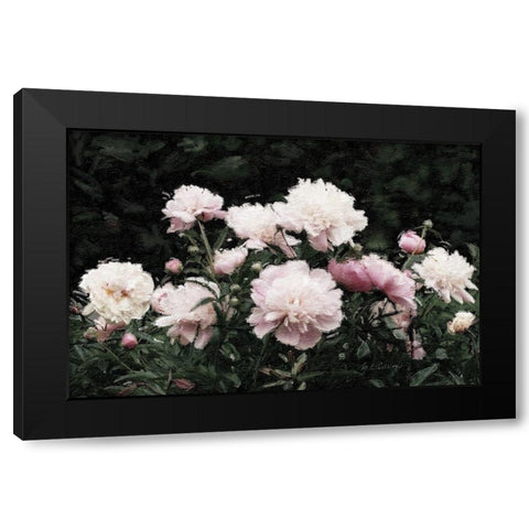 Peony  Poetry II Black Modern Wood Framed Art Print with Double Matting by Cusson, Marie Elaine
