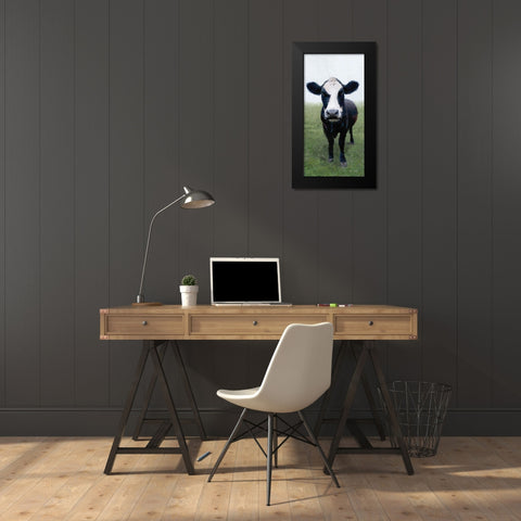 Funky  Cow I Black Modern Wood Framed Art Print by Cusson, Marie Elaine