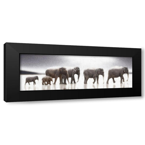 Elephant  Mirage Black Modern Wood Framed Art Print with Double Matting by Bay, Noah