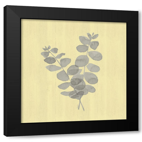 Natural Inspiration Eucalyptus gray And yellow I Black Modern Wood Framed Art Print with Double Matting by Reed, Tara