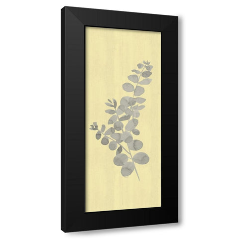 Natural Inspiration Eucalyptus vertical gray And yellow I Black Modern Wood Framed Art Print with Double Matting by Reed, Tara