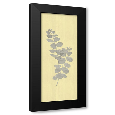 Natural Inspiration Eucalyptus vertical gray And yellow II Black Modern Wood Framed Art Print with Double Matting by Reed, Tara