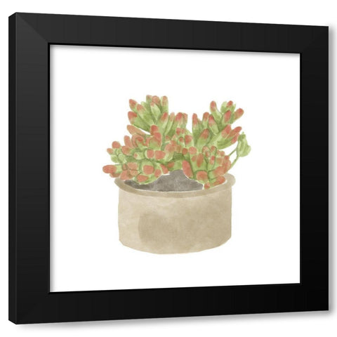 Simple Succulent I Black Modern Wood Framed Art Print with Double Matting by Bannarot