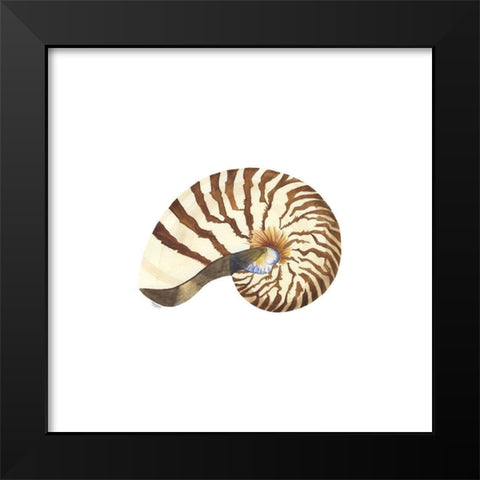 Oceanum Shells white III-Nautilus Black Modern Wood Framed Art Print by Reed, Tara