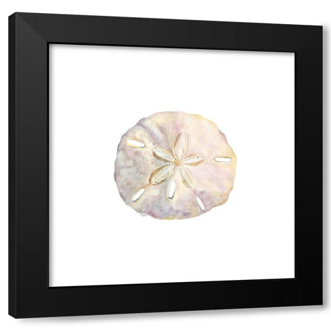 Oceanum Shells white IV-Sand Dollar Black Modern Wood Framed Art Print by Reed, Tara