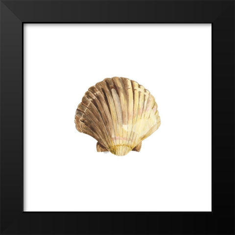Oceanum Shells white V-Scallop Black Modern Wood Framed Art Print by Reed, Tara