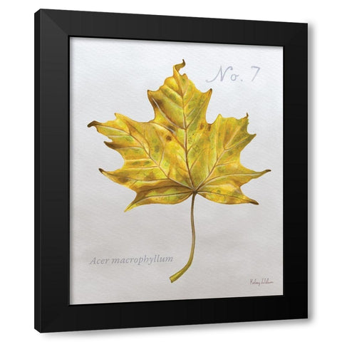 Autumn  Leaves on Gray II-Maple 2 Black Modern Wood Framed Art Print with Double Matting by Wilson, Kelsey