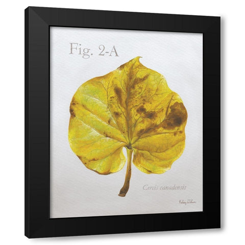 Autumn  Leaves on Gray IV-Redbud Black Modern Wood Framed Art Print by Wilson, Kelsey