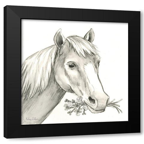 Watercolor  Pencil Farm III-Horse Black Modern Wood Framed Art Print with Double Matting by Wilson, Kelsey