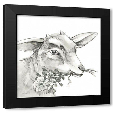 Watercolor  Pencil Farm IV-Goat Black Modern Wood Framed Art Print with Double Matting by Wilson, Kelsey