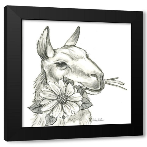 Watercolor  Pencil Farm XI-Llama 2 Black Modern Wood Framed Art Print by Wilson, Kelsey