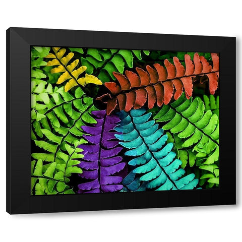 Feel  the Fern Black Modern Wood Framed Art Print by Manelis, Jessica
