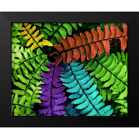 Feel  the Fern Black Modern Wood Framed Art Print by Manelis, Jessica