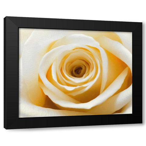 Gold  Rush Black Modern Wood Framed Art Print with Double Matting by Manelis, Jessica