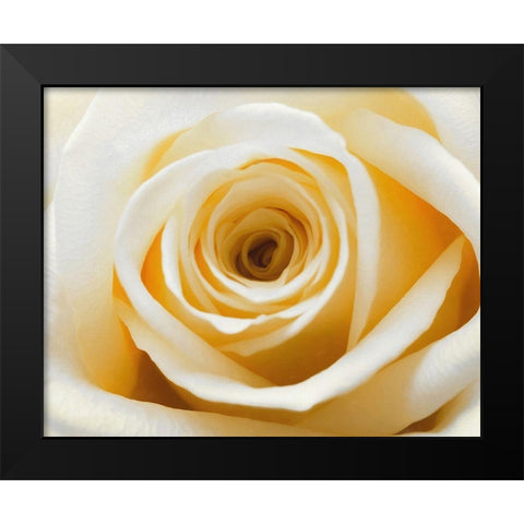 Gold  Rush Black Modern Wood Framed Art Print by Manelis, Jessica