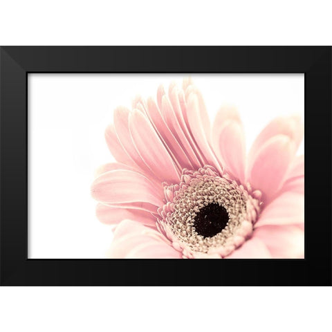 Imaginary  Garden Black Modern Wood Framed Art Print by Manelis, Jessica