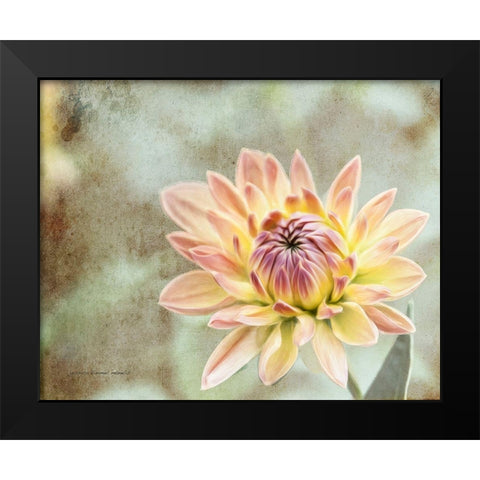 Impression  Flower Black Modern Wood Framed Art Print by Manelis, Jessica