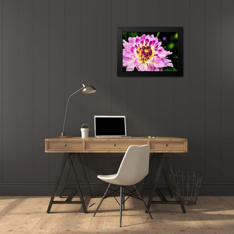 In  Full Regalia Black Modern Wood Framed Art Print by Manelis, Jessica