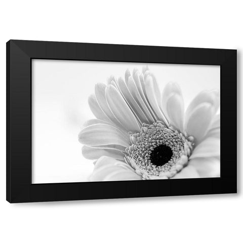 Ingenious  Nonsense Black Modern Wood Framed Art Print with Double Matting by Manelis, Jessica