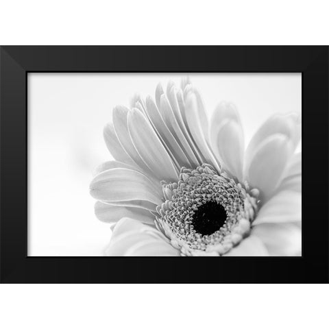 Ingenious  Nonsense Black Modern Wood Framed Art Print by Manelis, Jessica