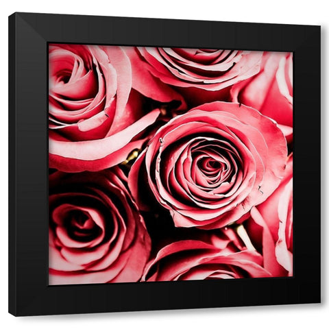 Moonlight  And Roses Black Modern Wood Framed Art Print with Double Matting by Manelis, Jessica