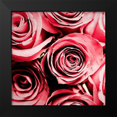Moonlight  And Roses Black Modern Wood Framed Art Print by Manelis, Jessica