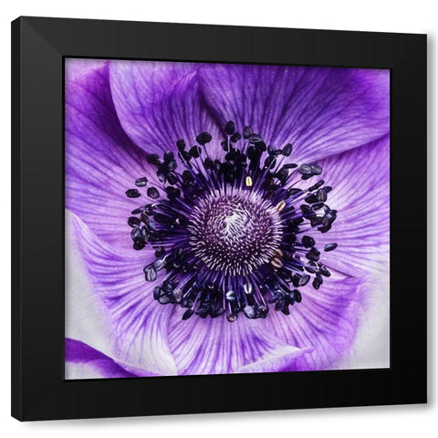 Not  Like the Rest Black Modern Wood Framed Art Print by Manelis, Jessica