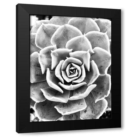 Peace  Love And Succulent black and white Black Modern Wood Framed Art Print by Manelis, Jessica