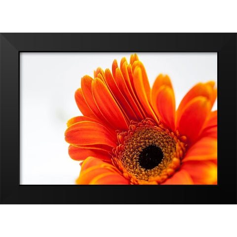 Poetry  Is Black Modern Wood Framed Art Print by Manelis, Jessica