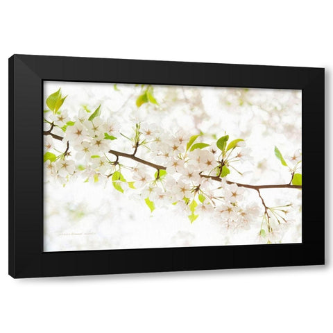 Pretentiously Elegant Black Modern Wood Framed Art Print by Manelis, Jessica