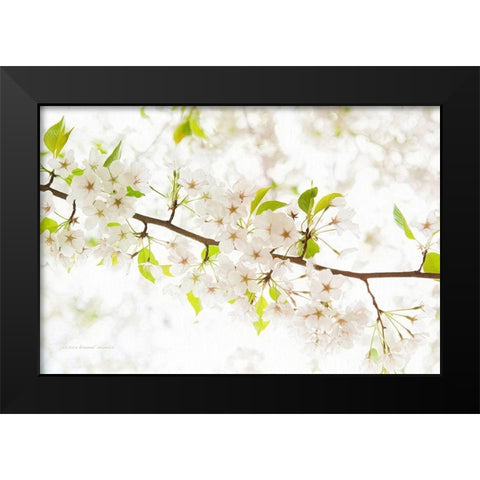 Pretentiously Elegant Black Modern Wood Framed Art Print by Manelis, Jessica