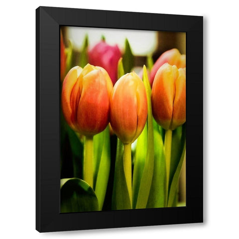 Radiant Black Modern Wood Framed Art Print by Manelis, Jessica