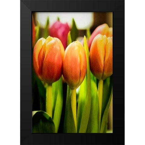 Radiant Black Modern Wood Framed Art Print by Manelis, Jessica