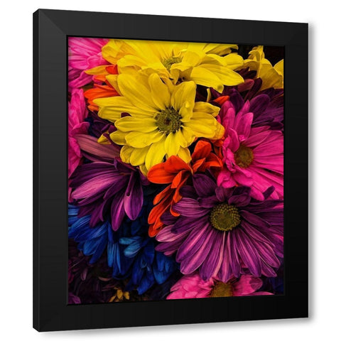 Riot  of Color Black Modern Wood Framed Art Print by Manelis, Jessica