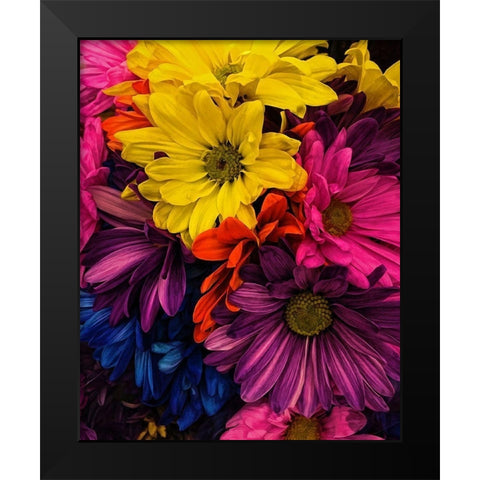 Riot  of Color Black Modern Wood Framed Art Print by Manelis, Jessica