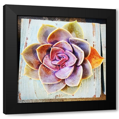 Rooting  for You Black Modern Wood Framed Art Print by Manelis, Jessica