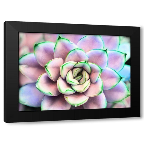 Succ  You Black Modern Wood Framed Art Print by Manelis, Jessica