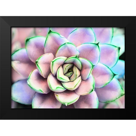 Succ  You Black Modern Wood Framed Art Print by Manelis, Jessica